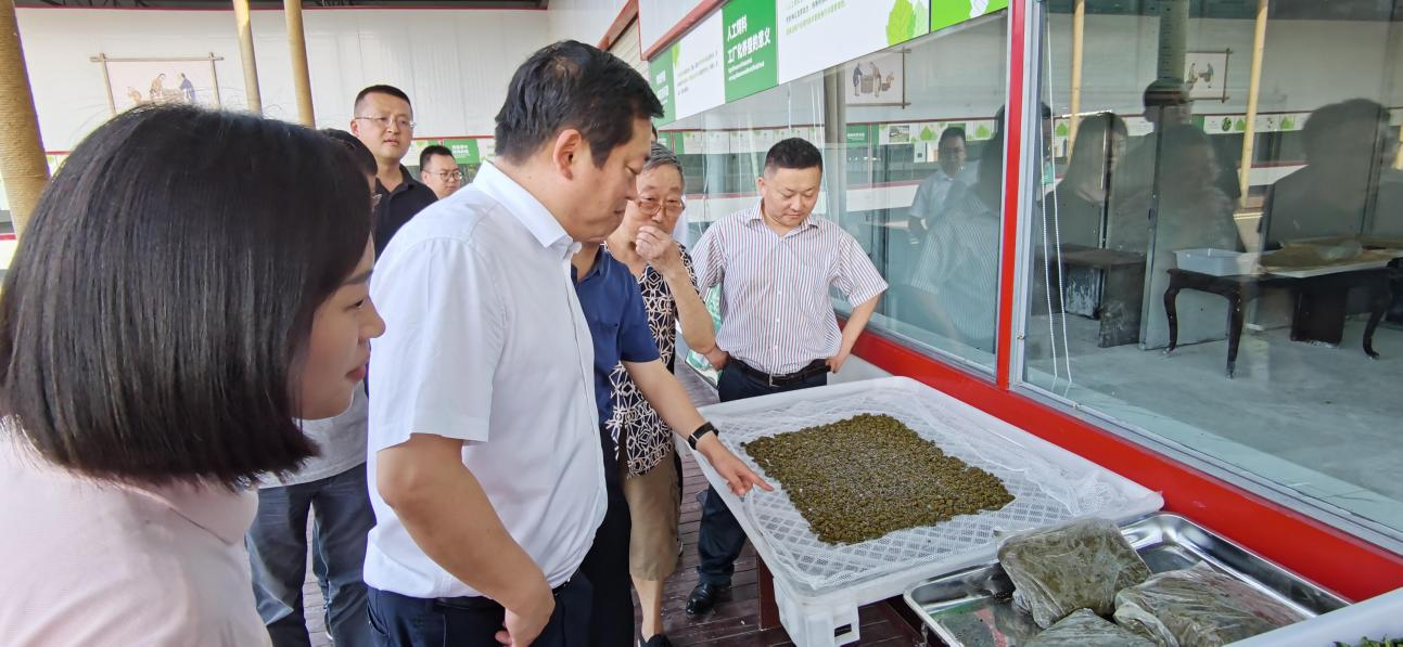省尊龙凯时集团党委副书记、董事陈日赴嘉陵区调研茶桑产业发展情况